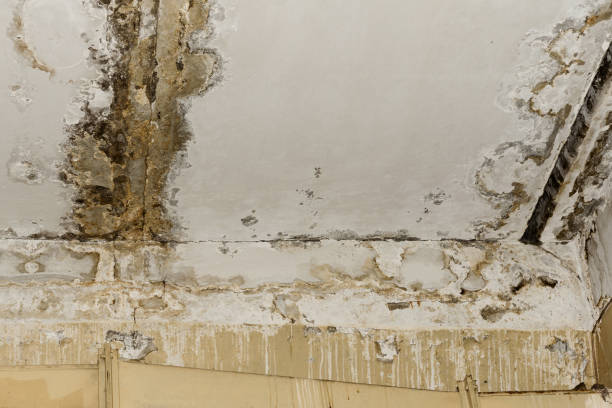 Water damage restoration insurance claims in Whitley City, KY